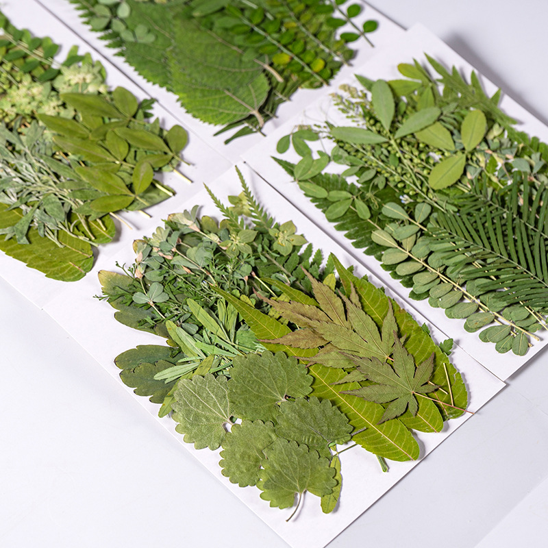 1Set 35pcs Pressed Dried Flowe - Dried Flower Bookmark recension och pris
